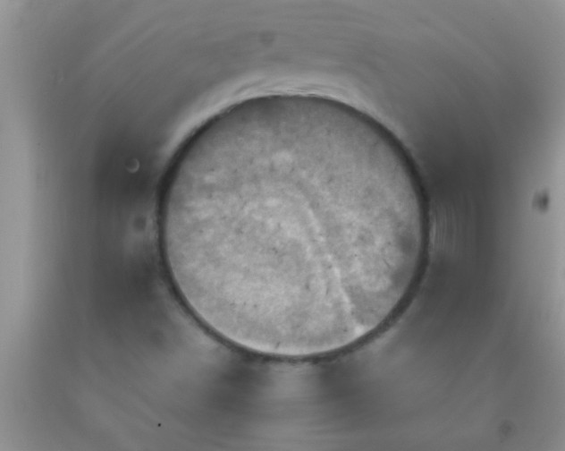 X0000092111498200709191317