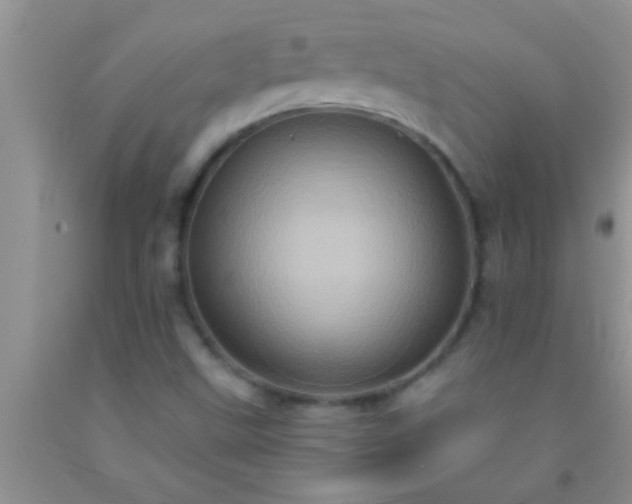 X0000092111499200709191317