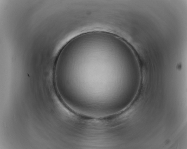 X0000092111500200709191317