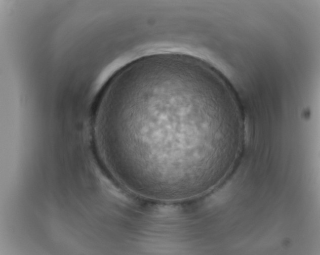 X0000092111501200709191317