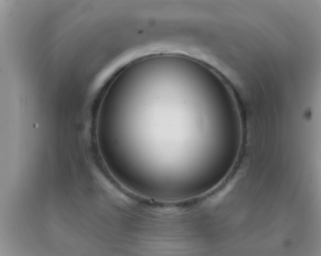 X0000092111502200709191317