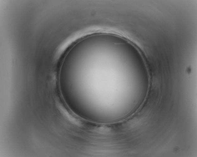 X0000092111503200709191317