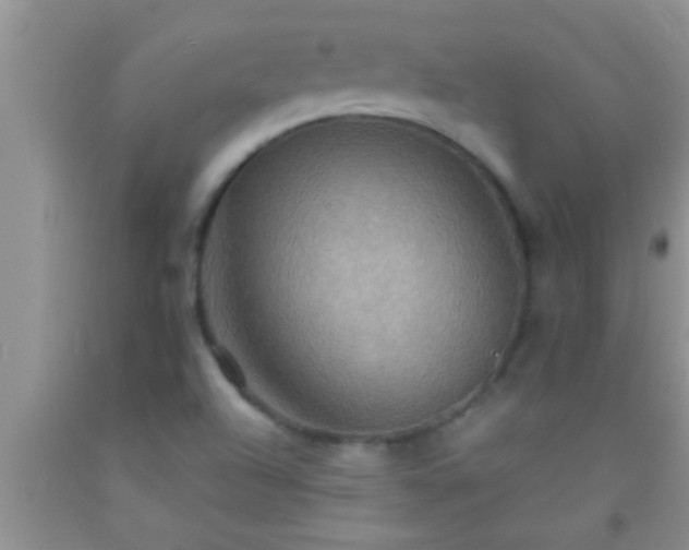 X0000092111504200709191317