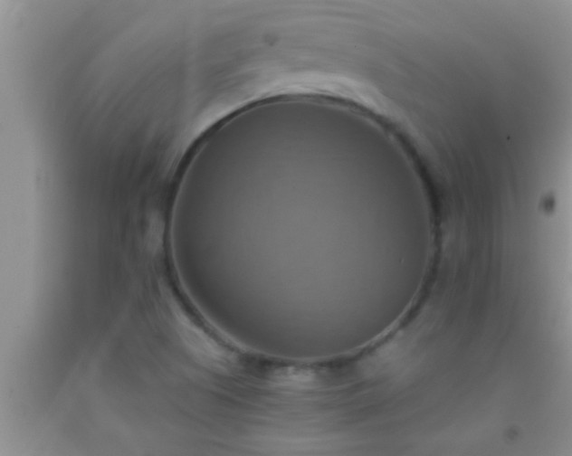 X0000092111505200709191317