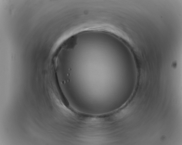 X0000092111506200709191317