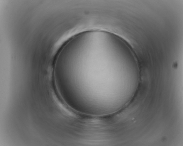 X0000092111507200709191317