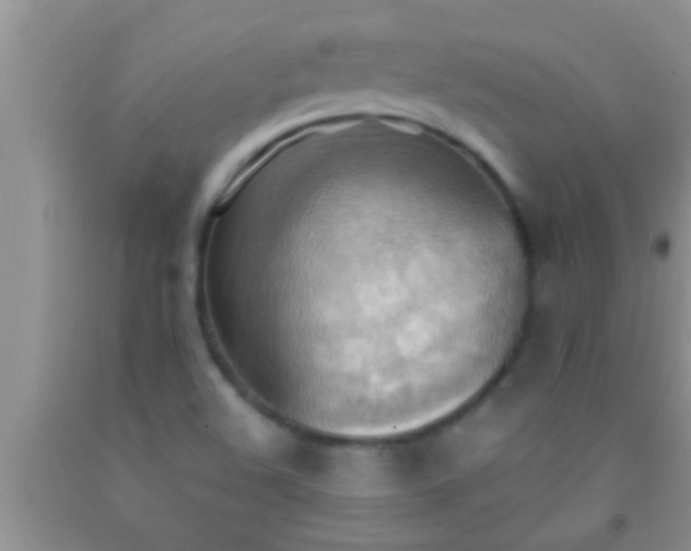 X0000092111508200709191317