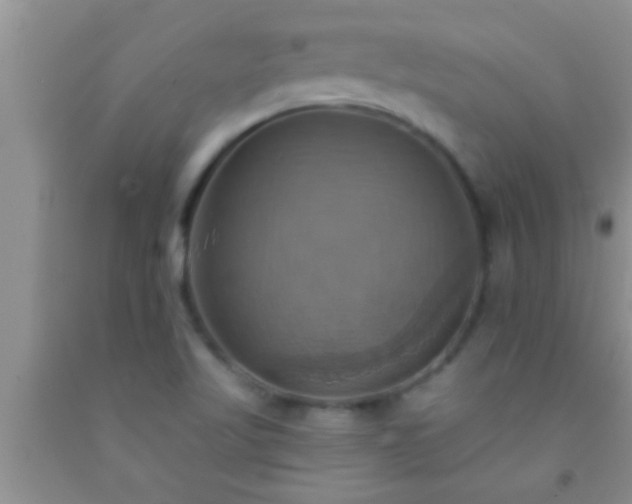 X0000092111509200709191317