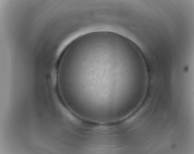 X0000092111510200709191317