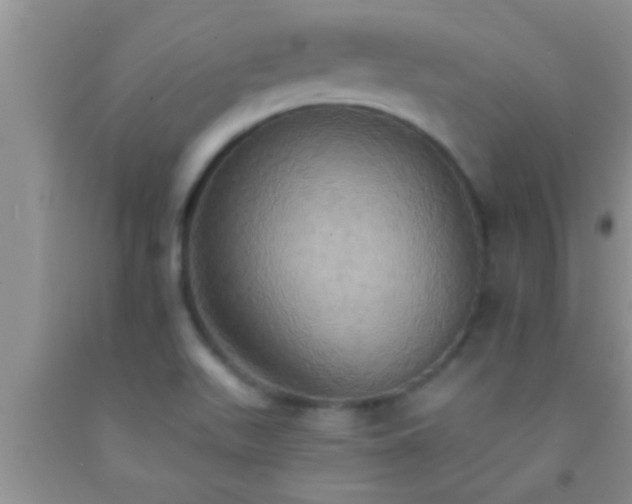 X0000092111511200709191317