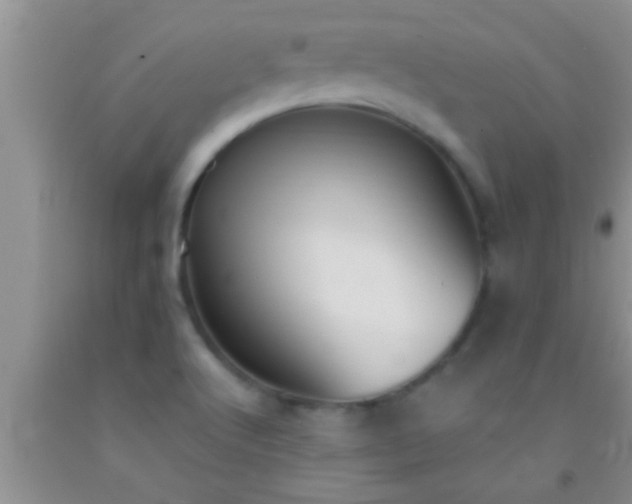 X0000092111512200709191317