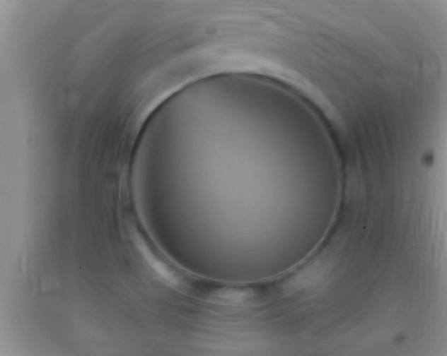 X0000092111513200709191317