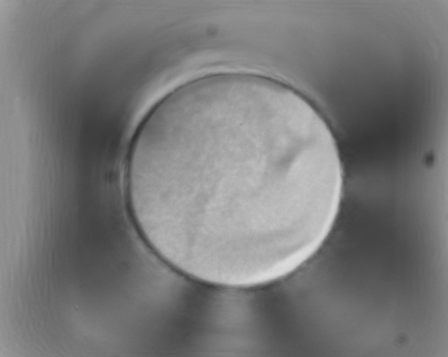 X0000092111514200709191317