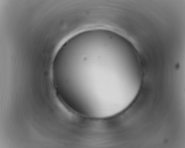 X0000092111516200709191318