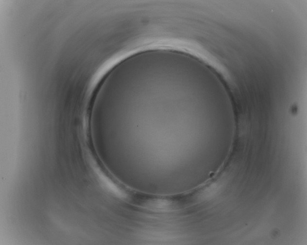 X0000092111517200709191318