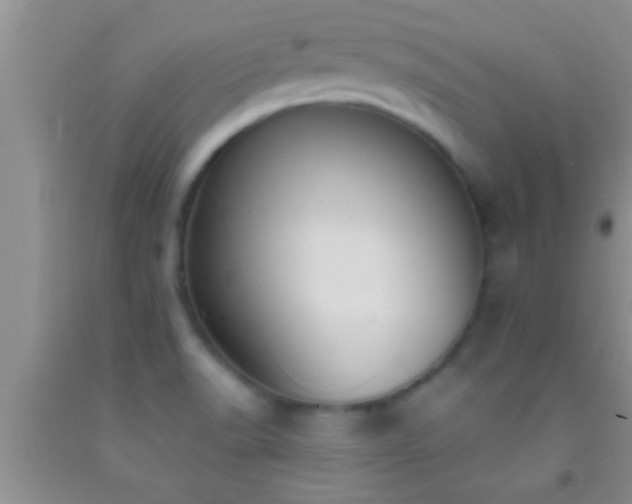 X0000092111518200709191318