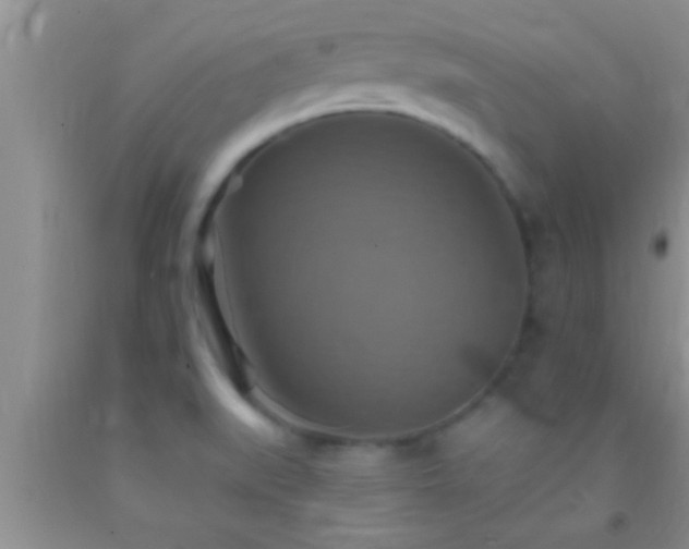 X0000092111519200709191318