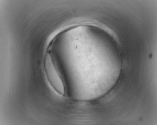 X0000092111520200709191318