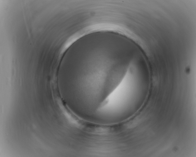 X0000092111521200709191318