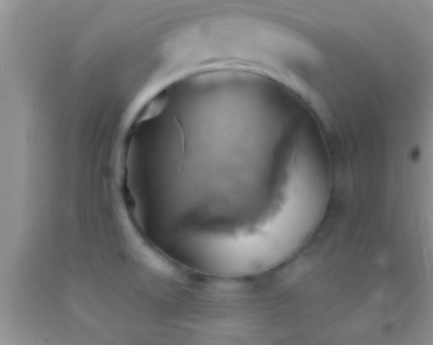 X0000092111522200709191318