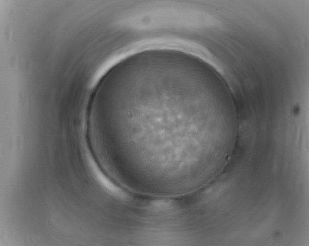 X0000092111523200709191318