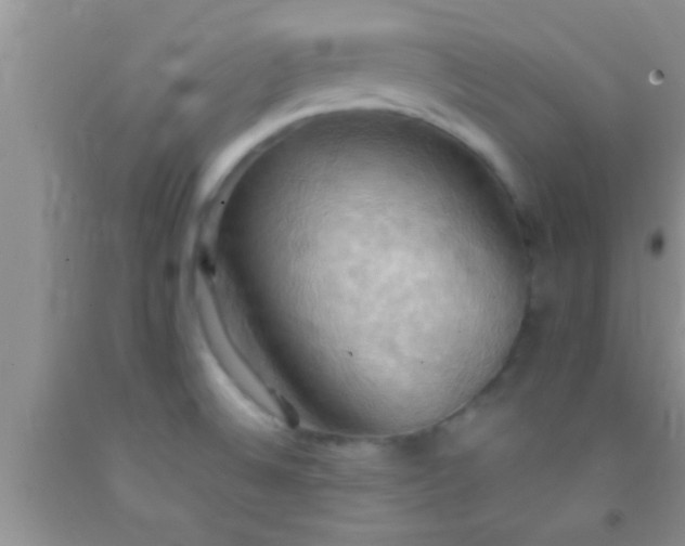 X0000092111524200709191318