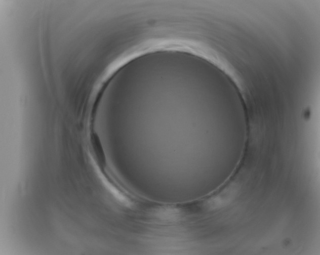 X0000092111525200709191318