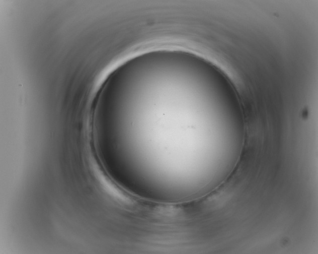 X0000092111526200709191318