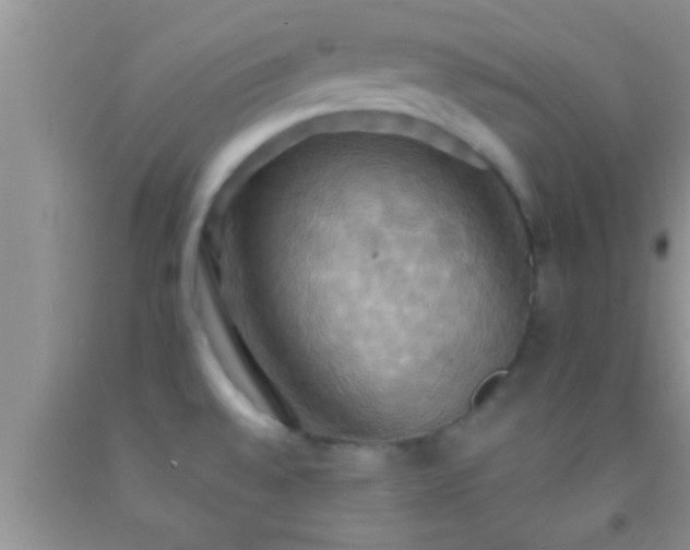 X0000092111528200709191318