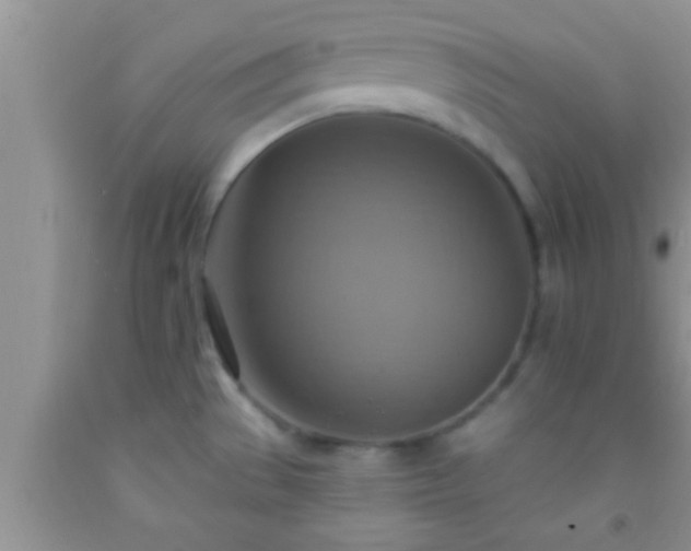 X0000092111529200709191318