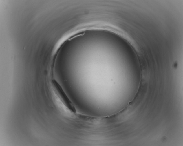 X0000092111530200709191318