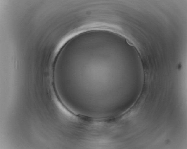 X0000092111531200709191318