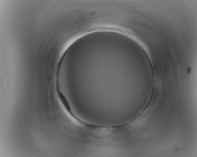 X0000092111533200709191318