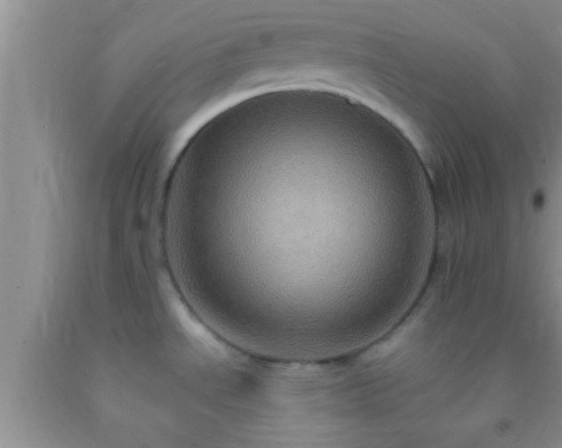 X0000092111534200709191318