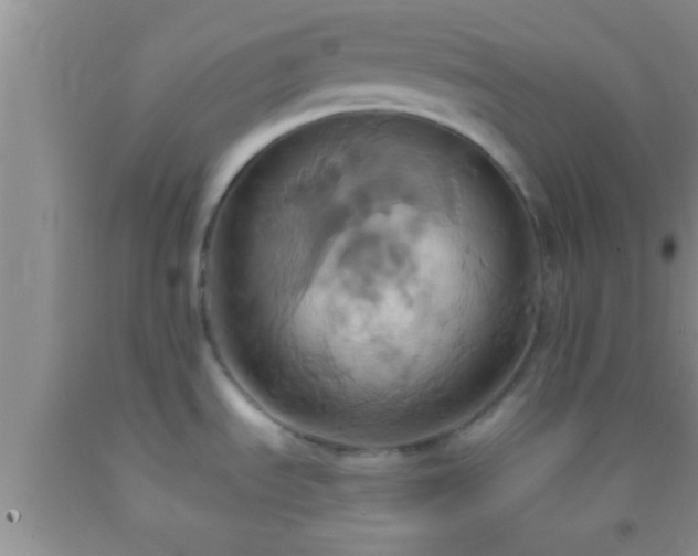 X0000092111535200709191318