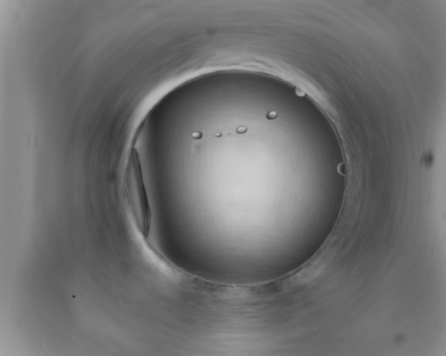 X0000092111536200709191318