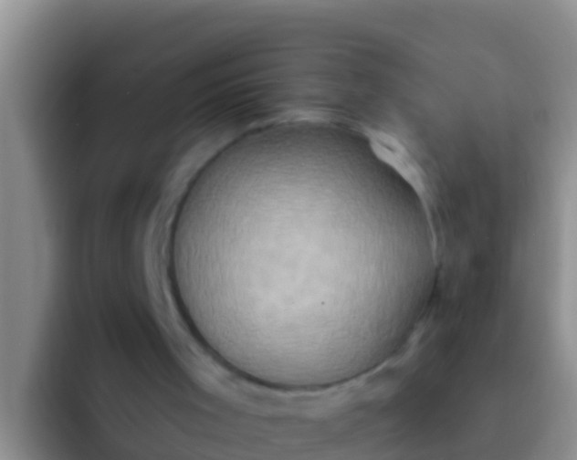 X0000092110001200709262207