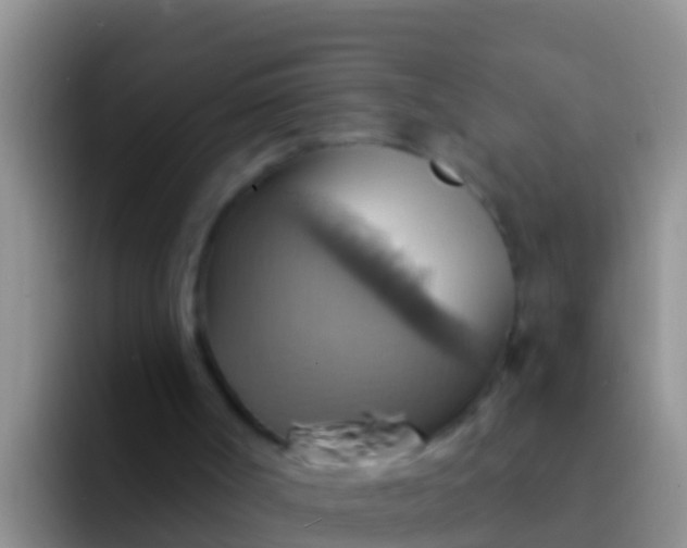 X0000092110002200709262207