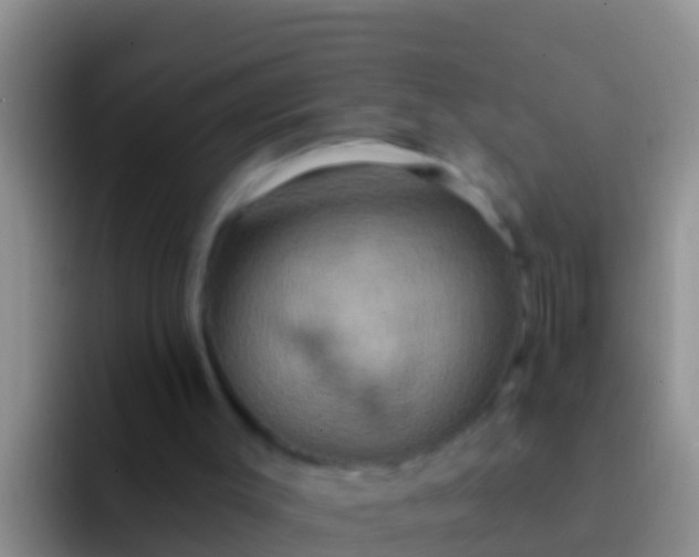 X0000092110003200709262207