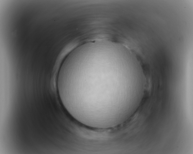 X0000092110004200709262207