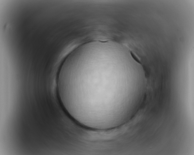 X0000092110005200709262207