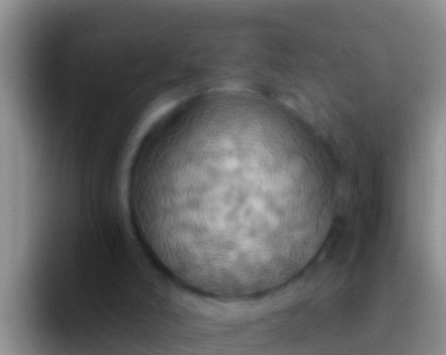 X0000092110006200709262207