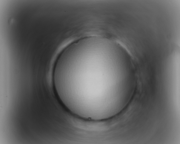 X0000092110008200709262207