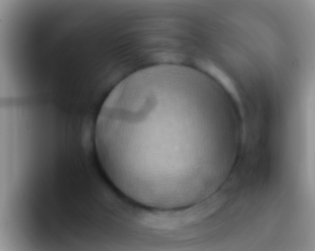 X0000092110009200709262207