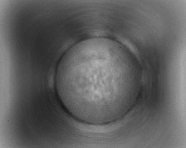 X0000092110010200709262207