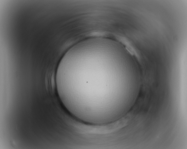 X0000092110011200709262207