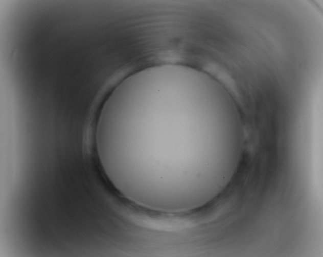 X0000092110012200709262207