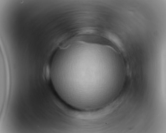 X0000092110013200709262207