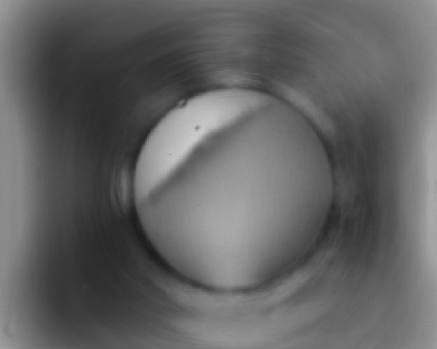 X0000092110014200709262207