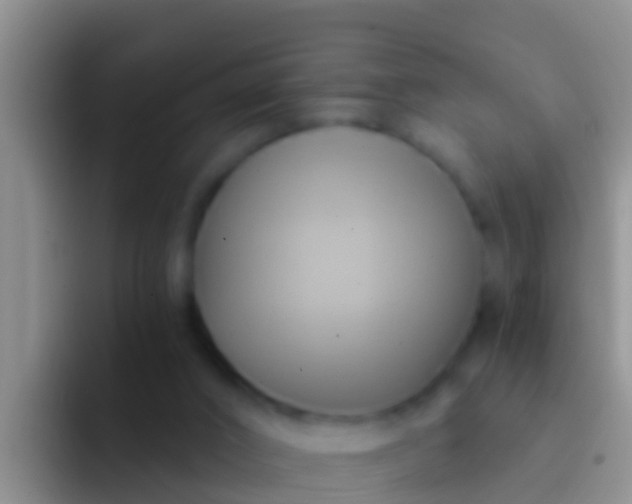 X0000092110016200709262207